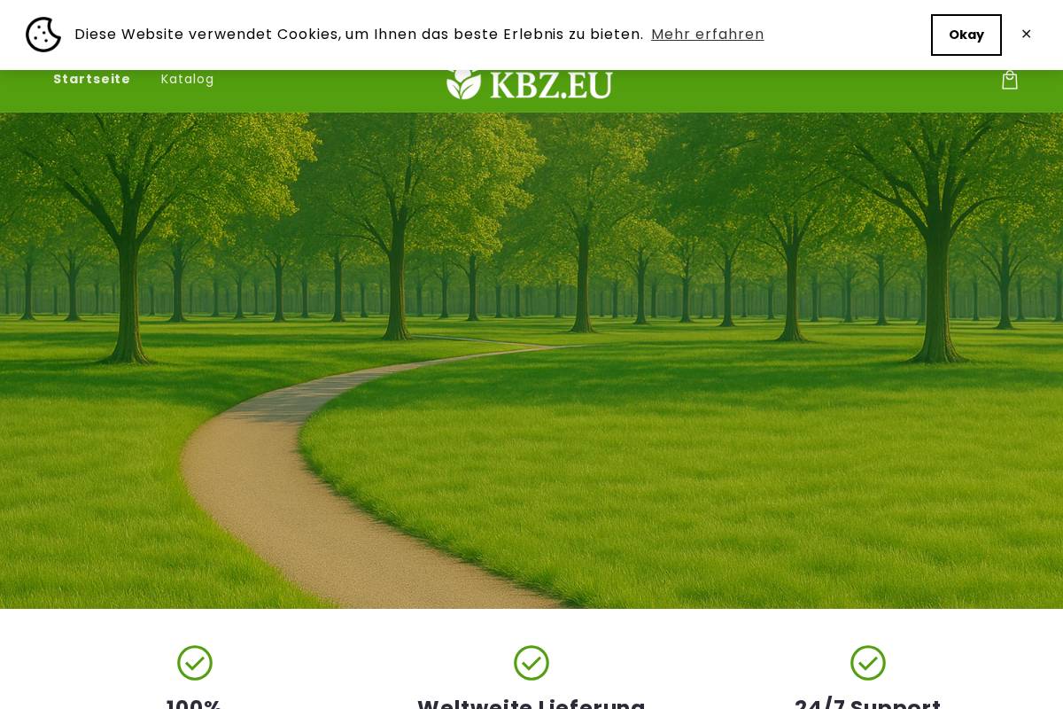 KBZ DE homepage screenshot