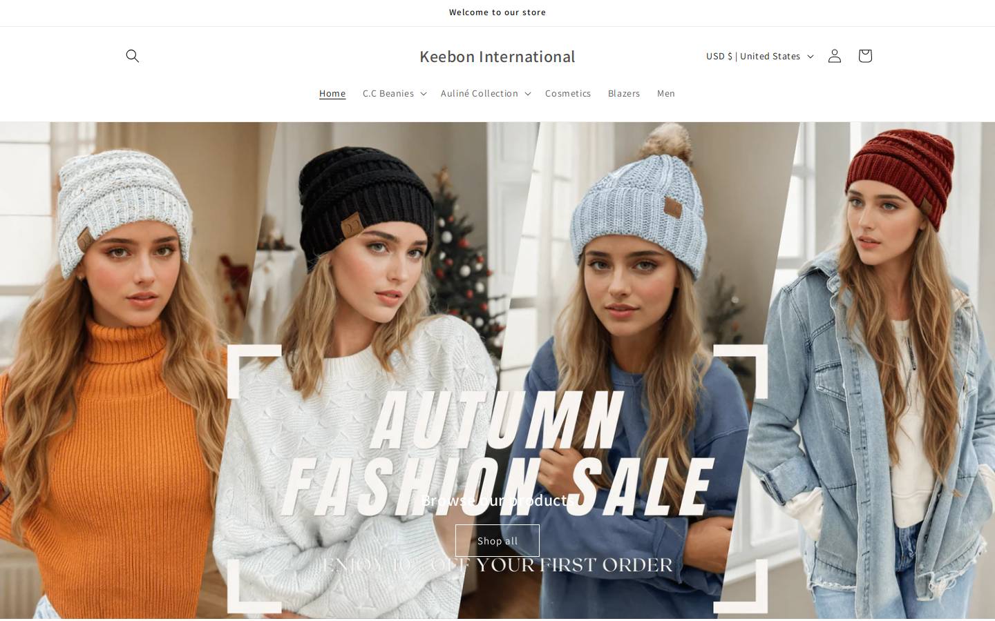 keeboninternational.com homepage screenshot