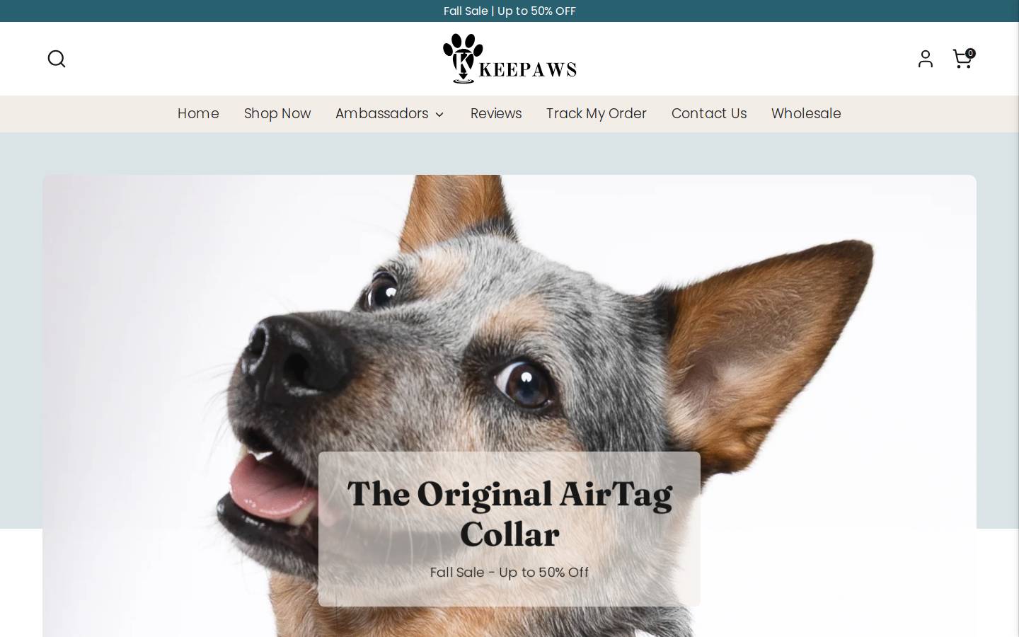 Keepaws homepage screenshot