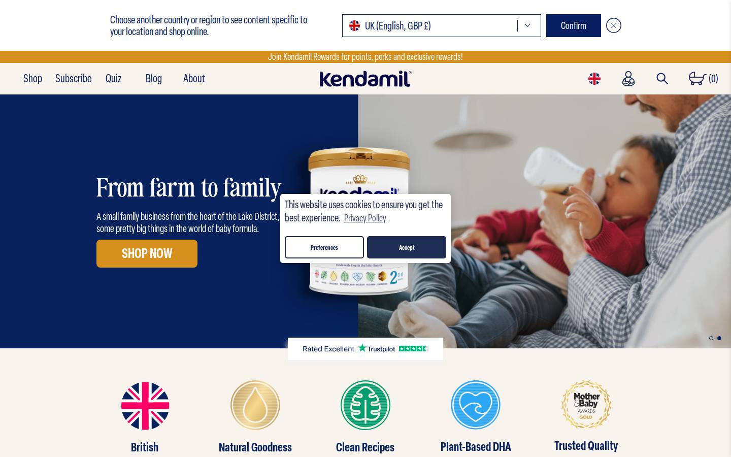 Kendamil homepage screenshot