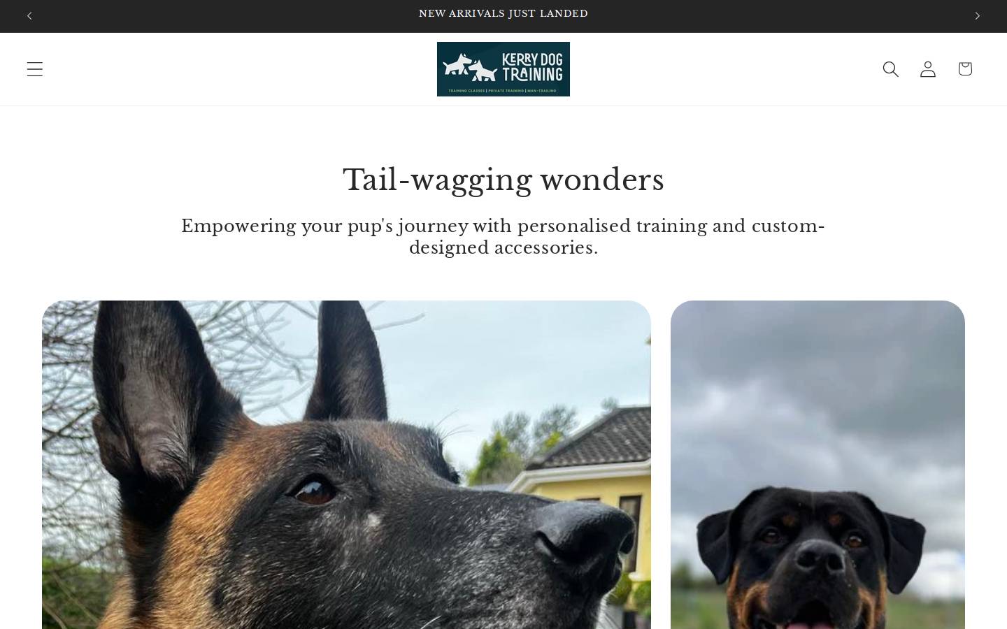 kerrydogtraining.ie homepage screenshot