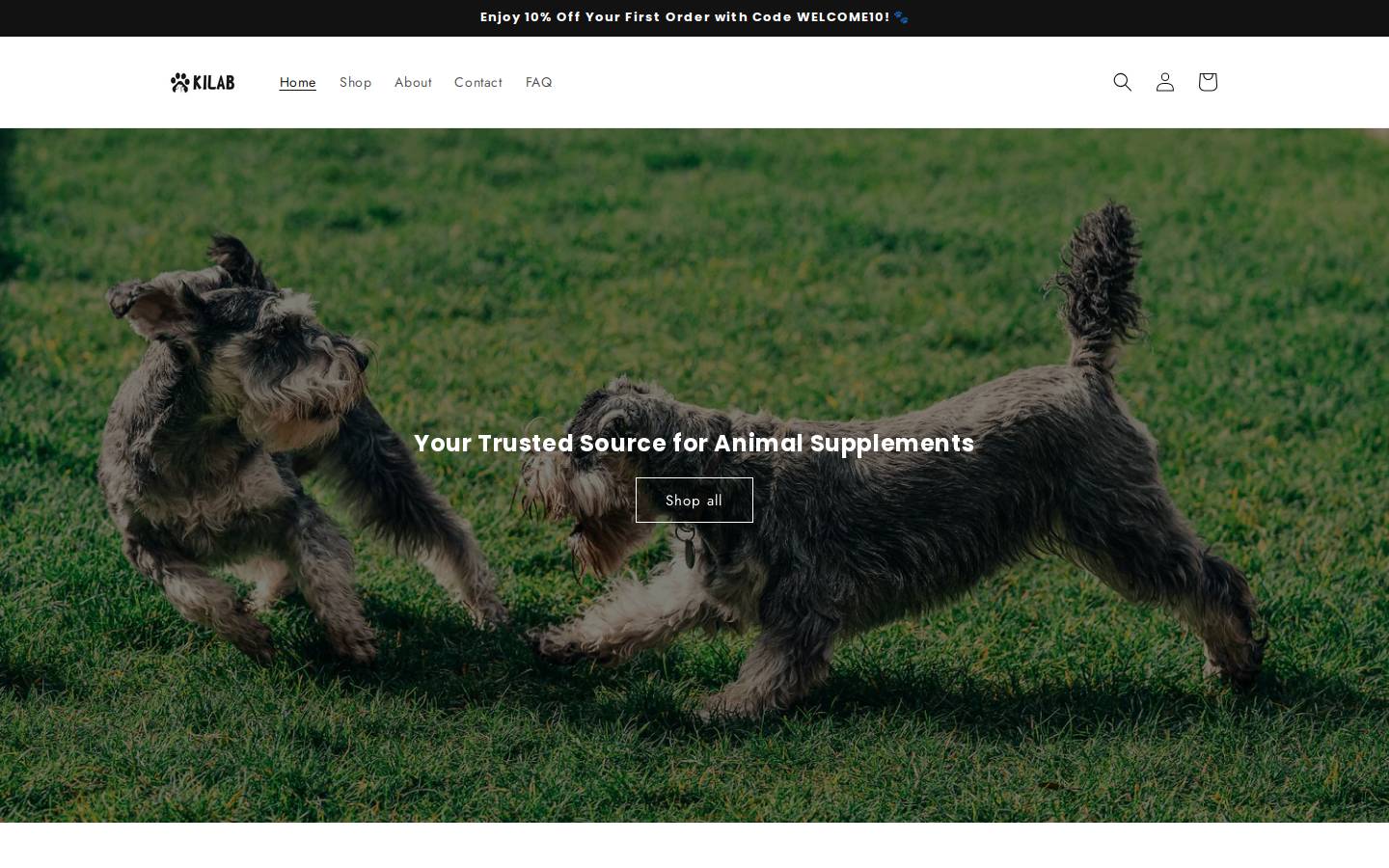 kilab.us homepage screenshot