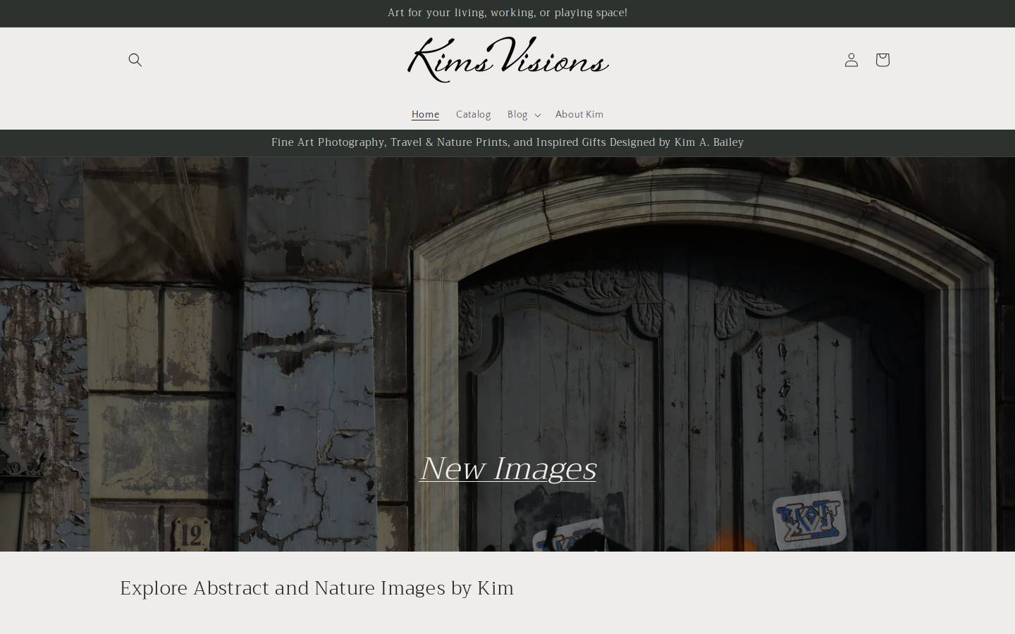 kimsvisions.com homepage screenshot