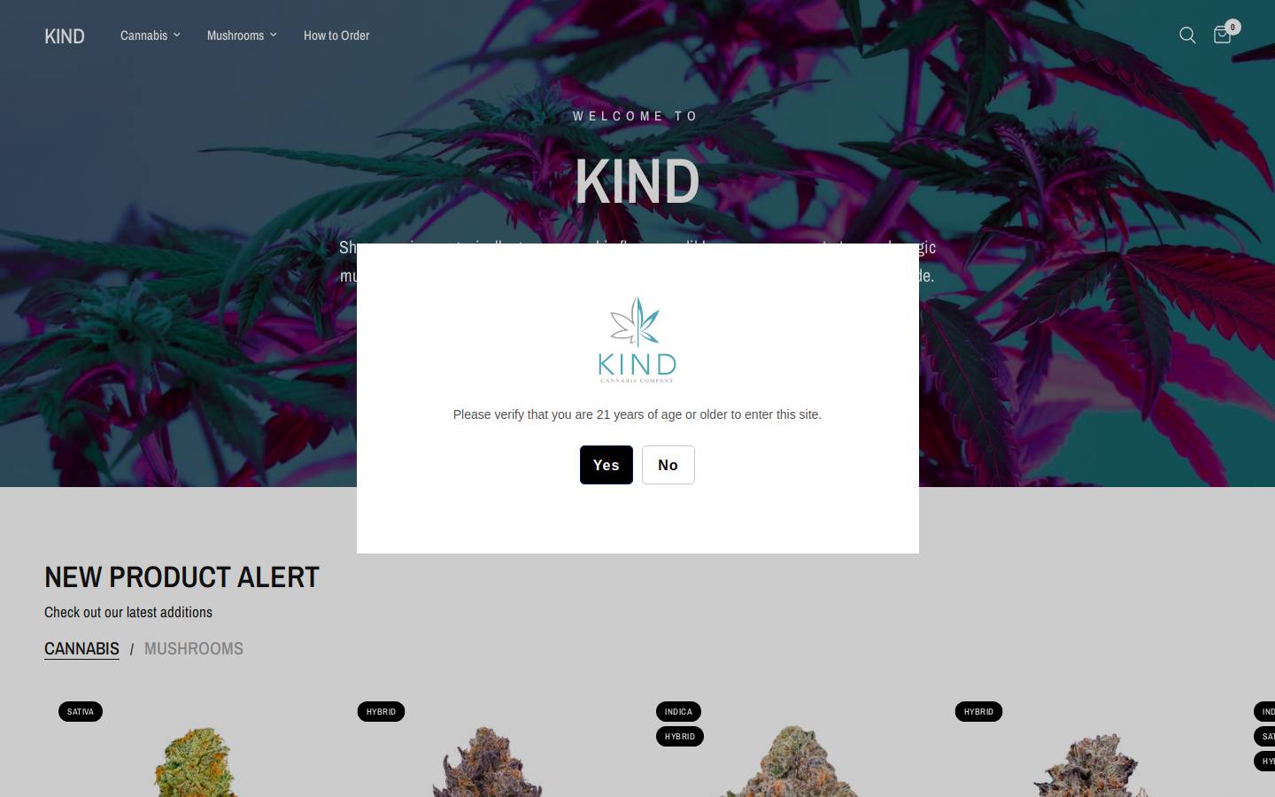 kind.com homepage screenshot