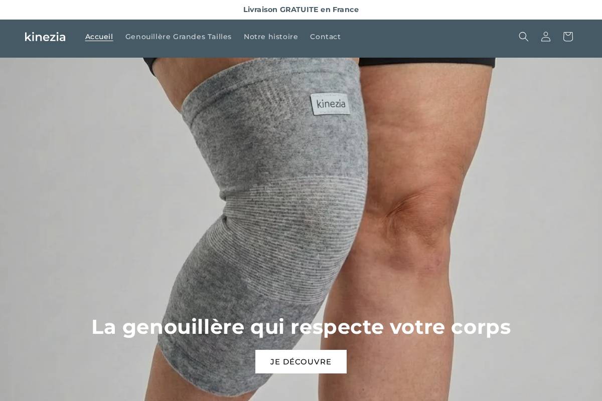 kinezia.fr homepage screenshot