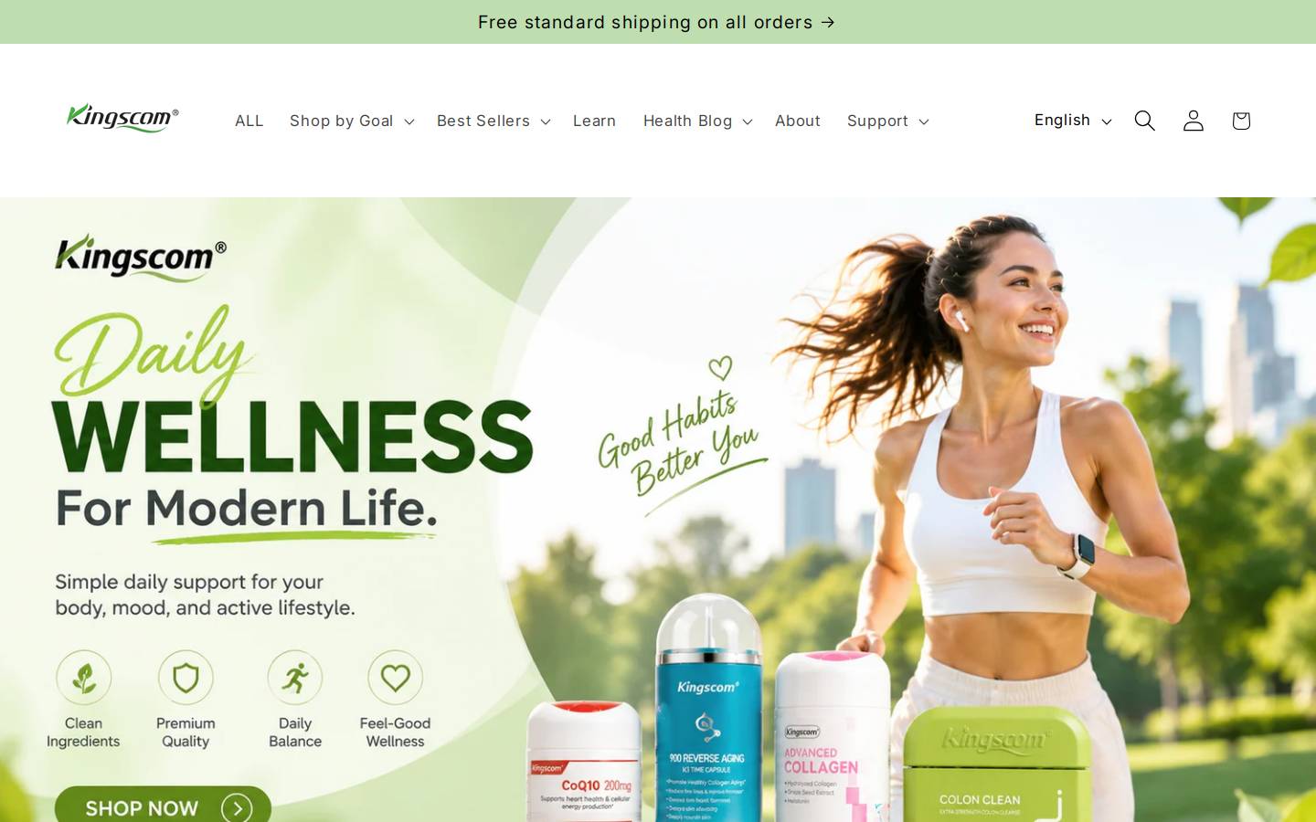 kingscom.co homepage screenshot