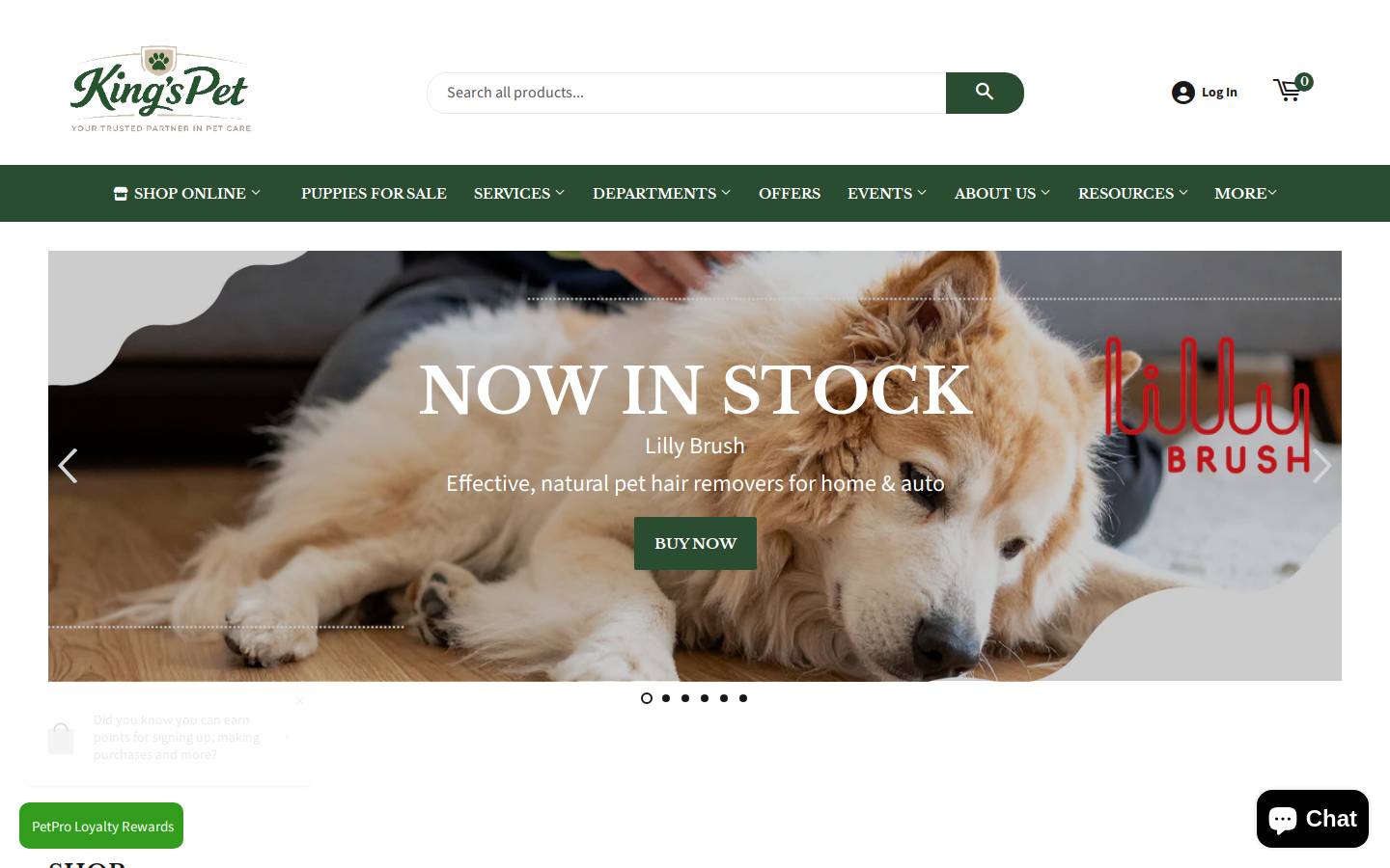 kingspetllc.com homepage screenshot