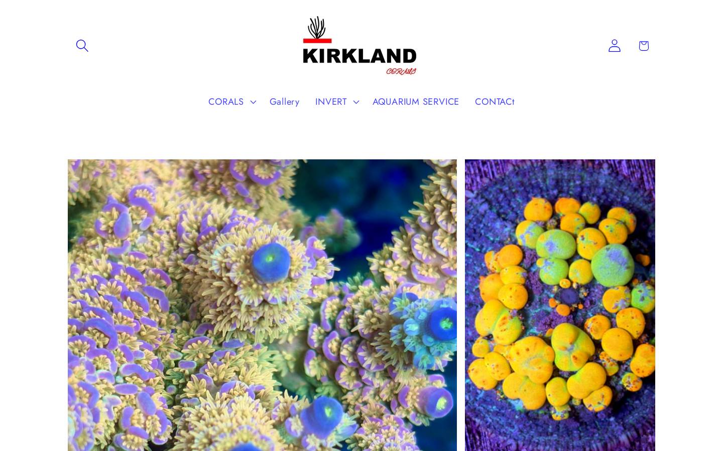 kirklandcorals.com homepage screenshot