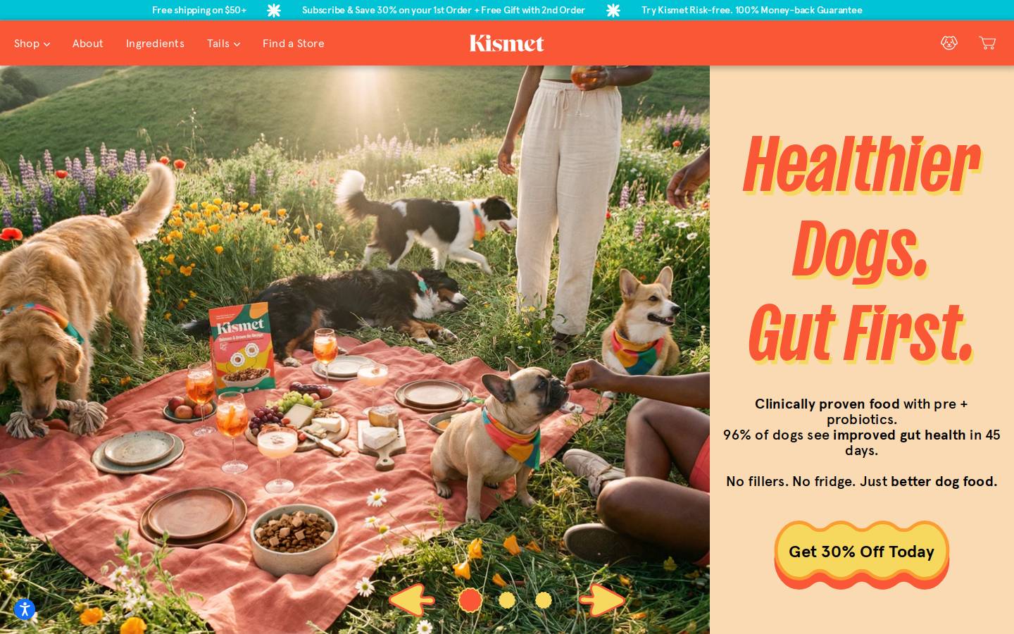 Kismet homepage screenshot
