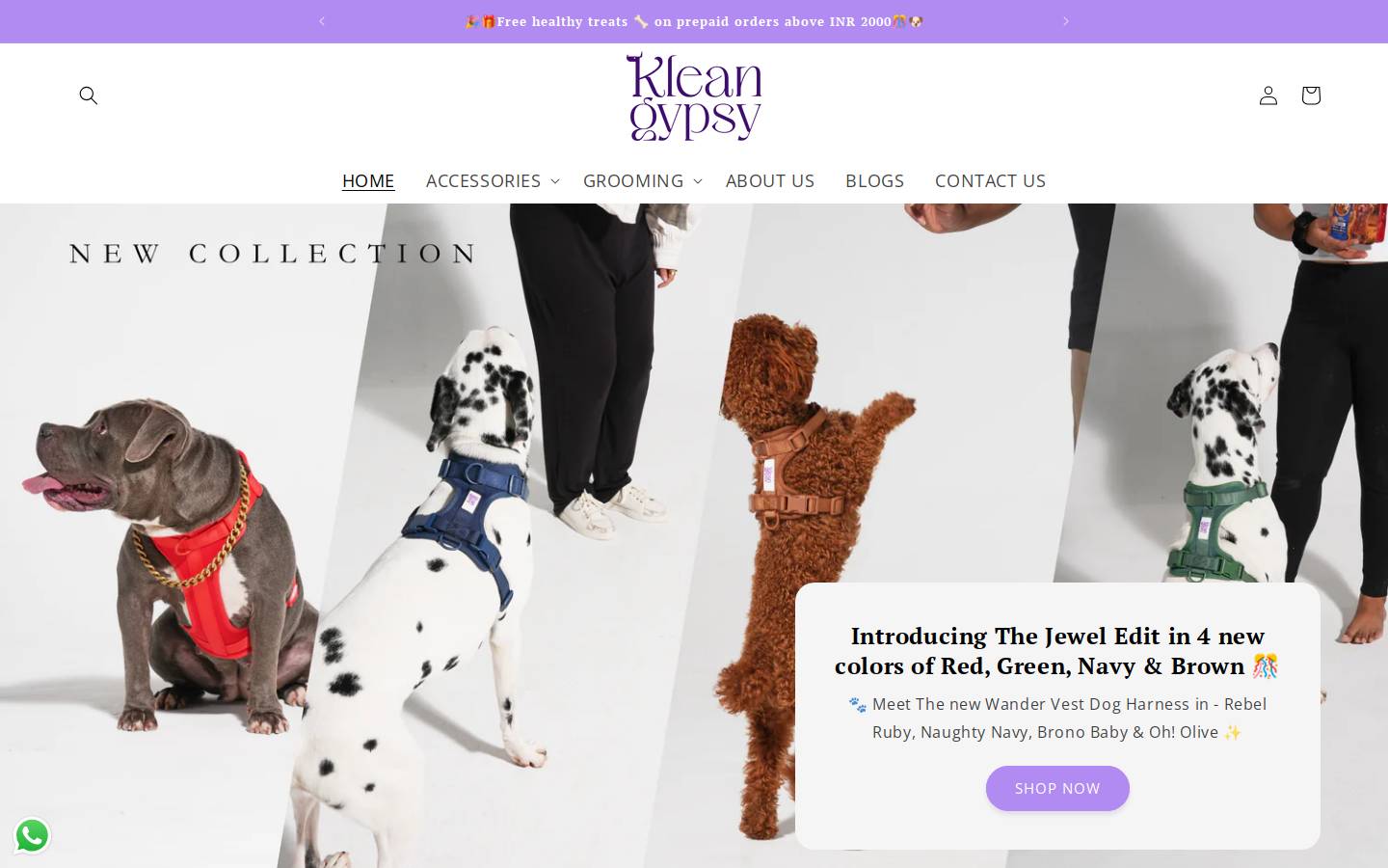kleangypsy.com homepage screenshot