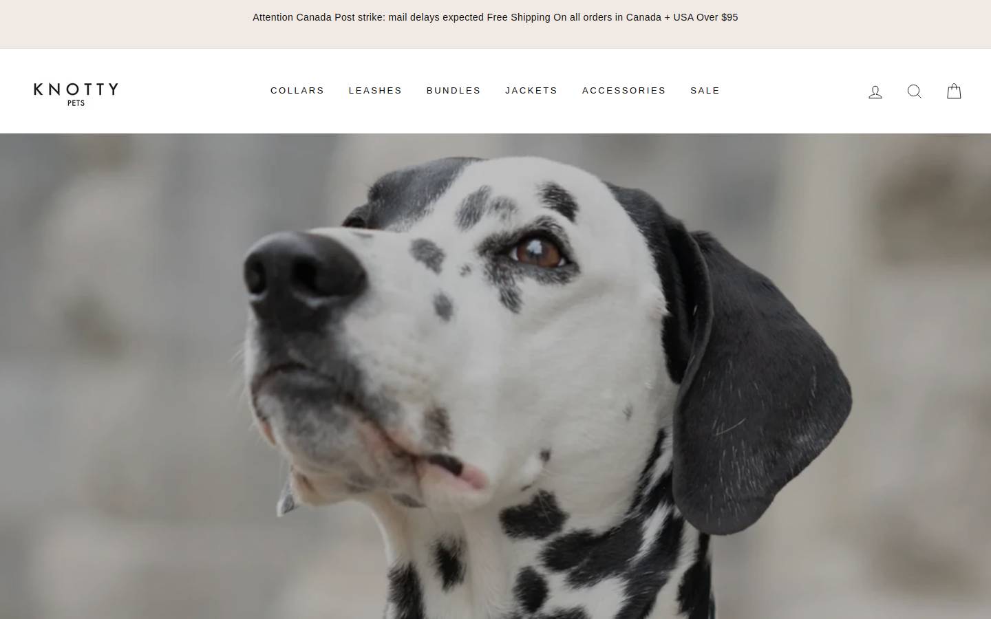 knotty-pets.com homepage screenshot