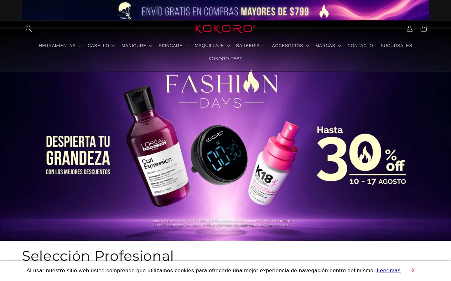 kokoro.mx homepage screenshot