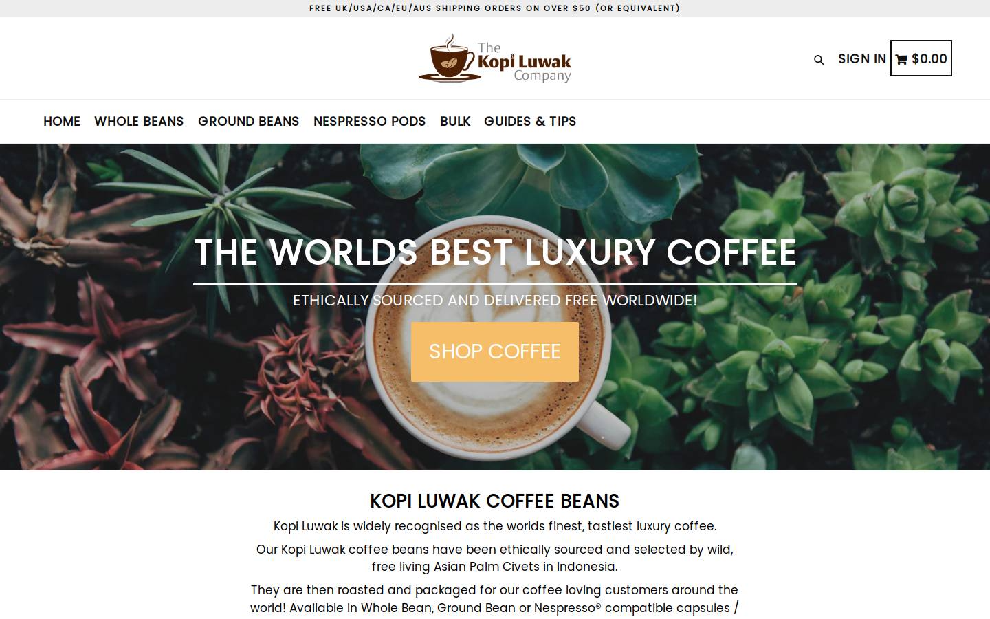 Kopiluwakco homepage screenshot