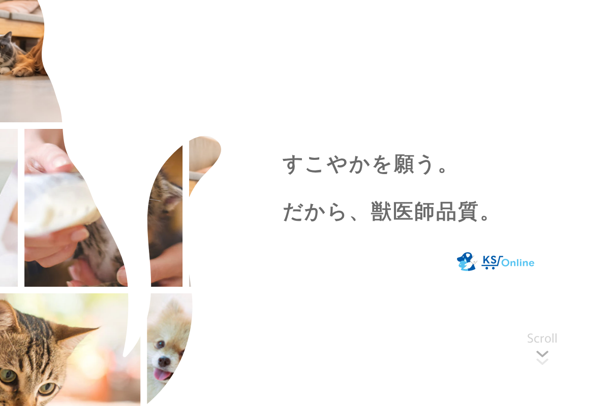 KS Online 共立製薬公式オンラインストア homepage screenshot