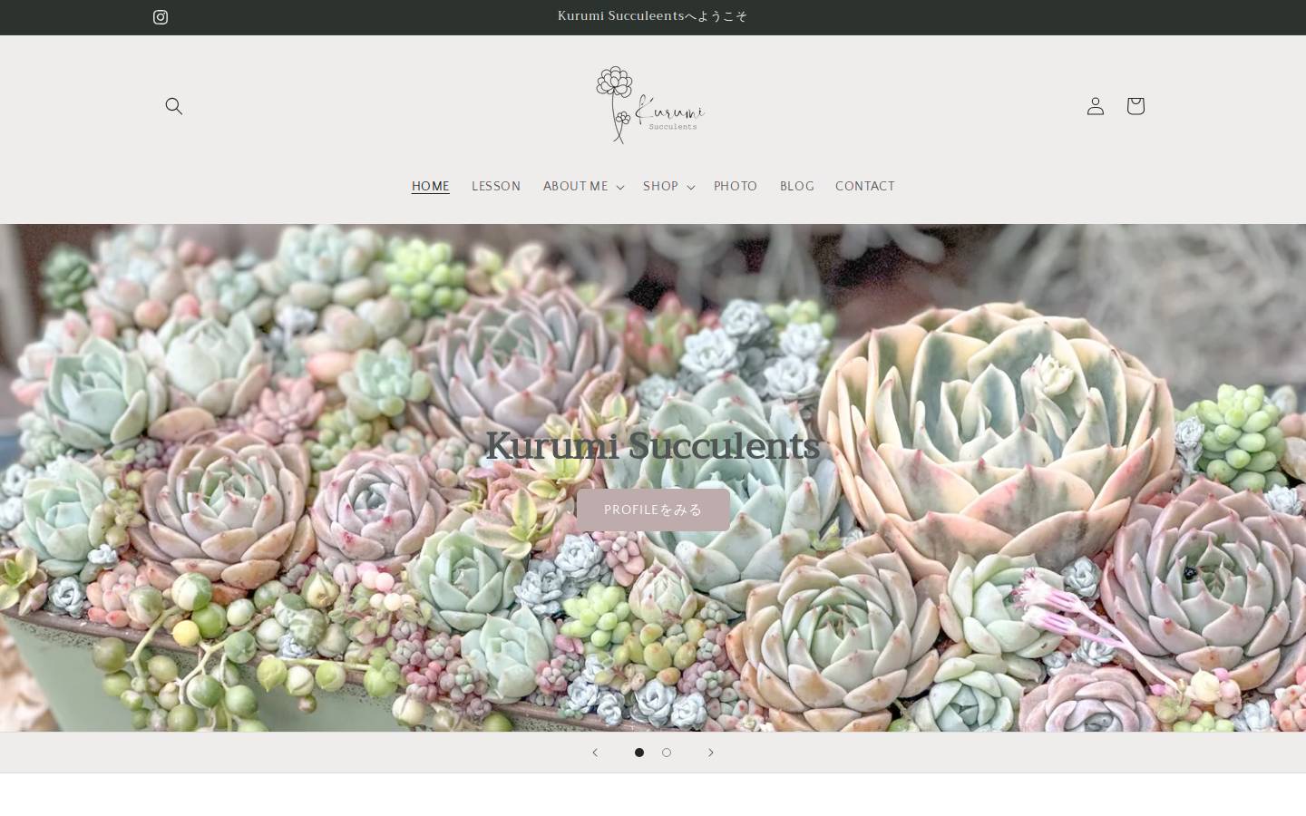 kurumisucculents.com homepage screenshot