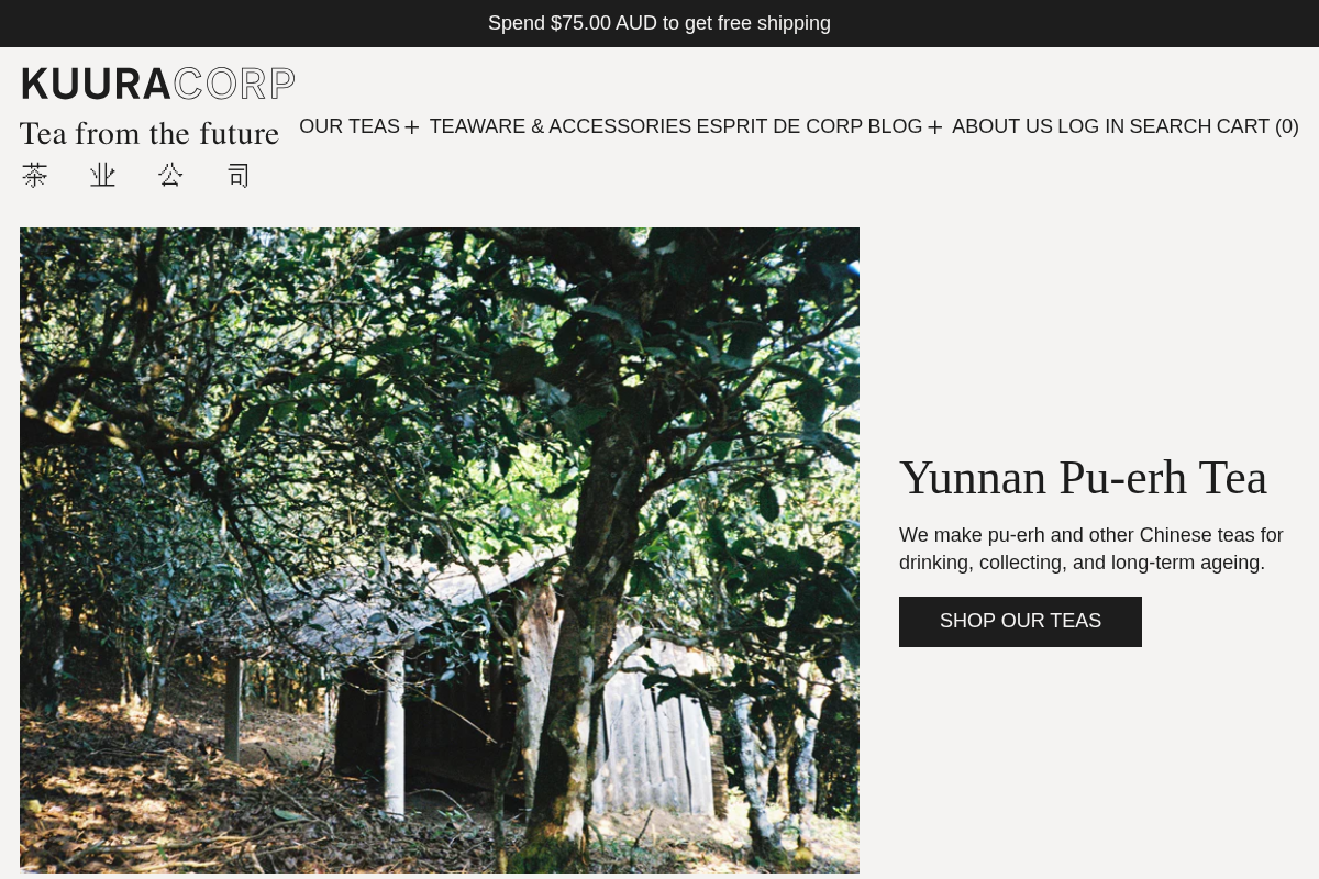 KUURACORP homepage screenshot