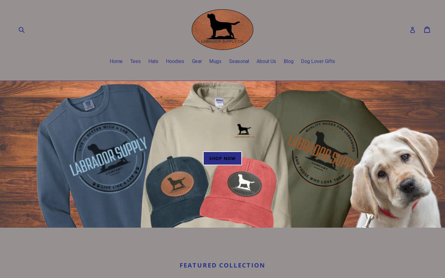 labhq.net homepage screenshot