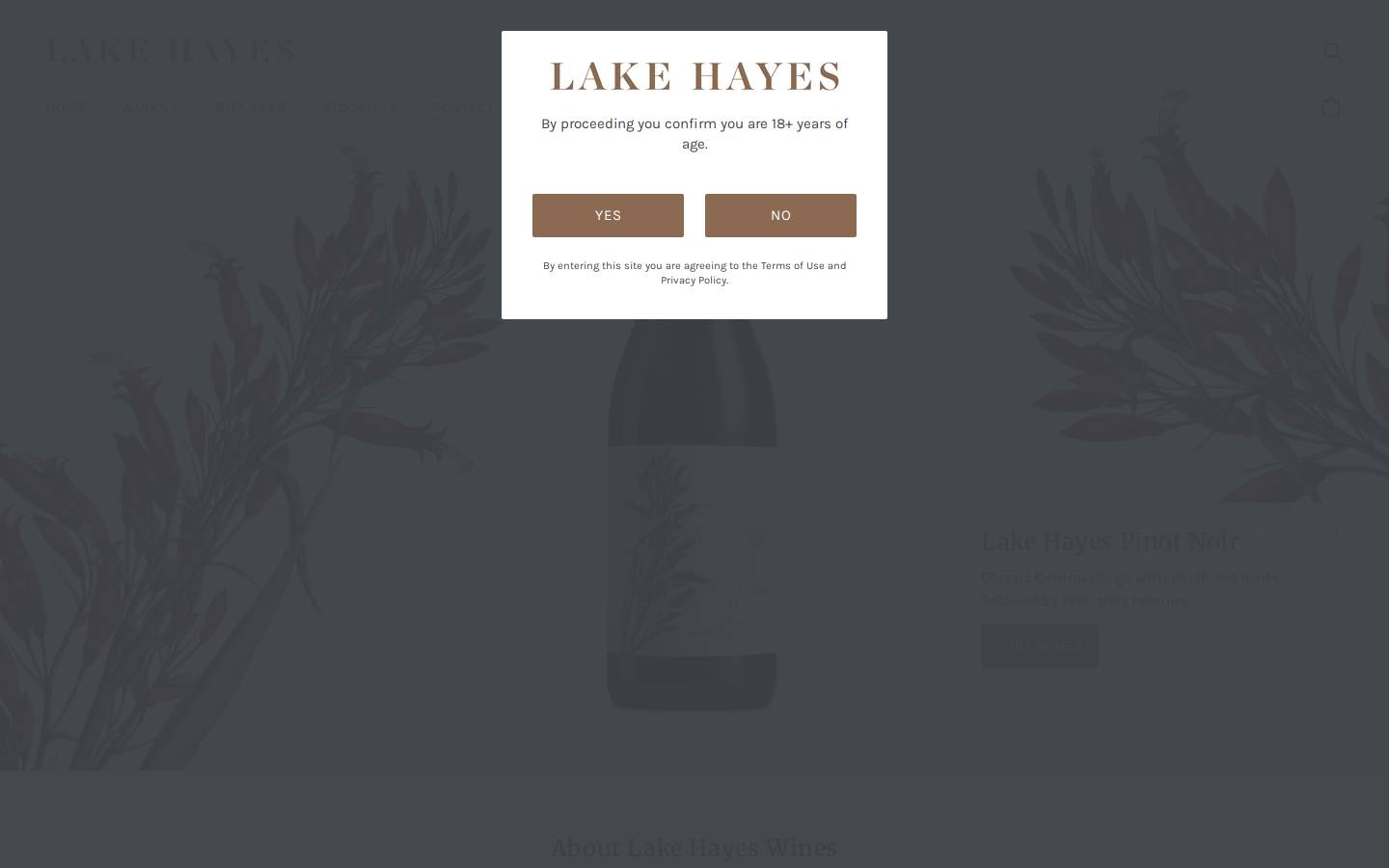 lakehayes.co.nz homepage screenshot