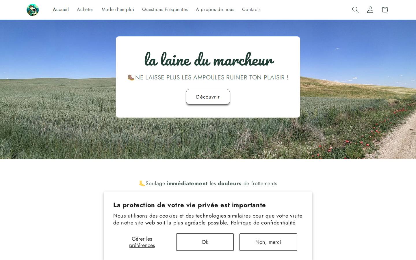 lalainedumarcheur.com homepage screenshot