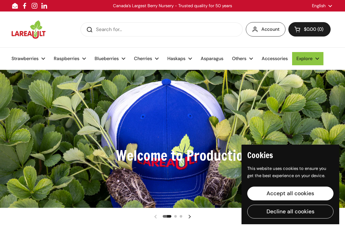 lareault.com homepage screenshot