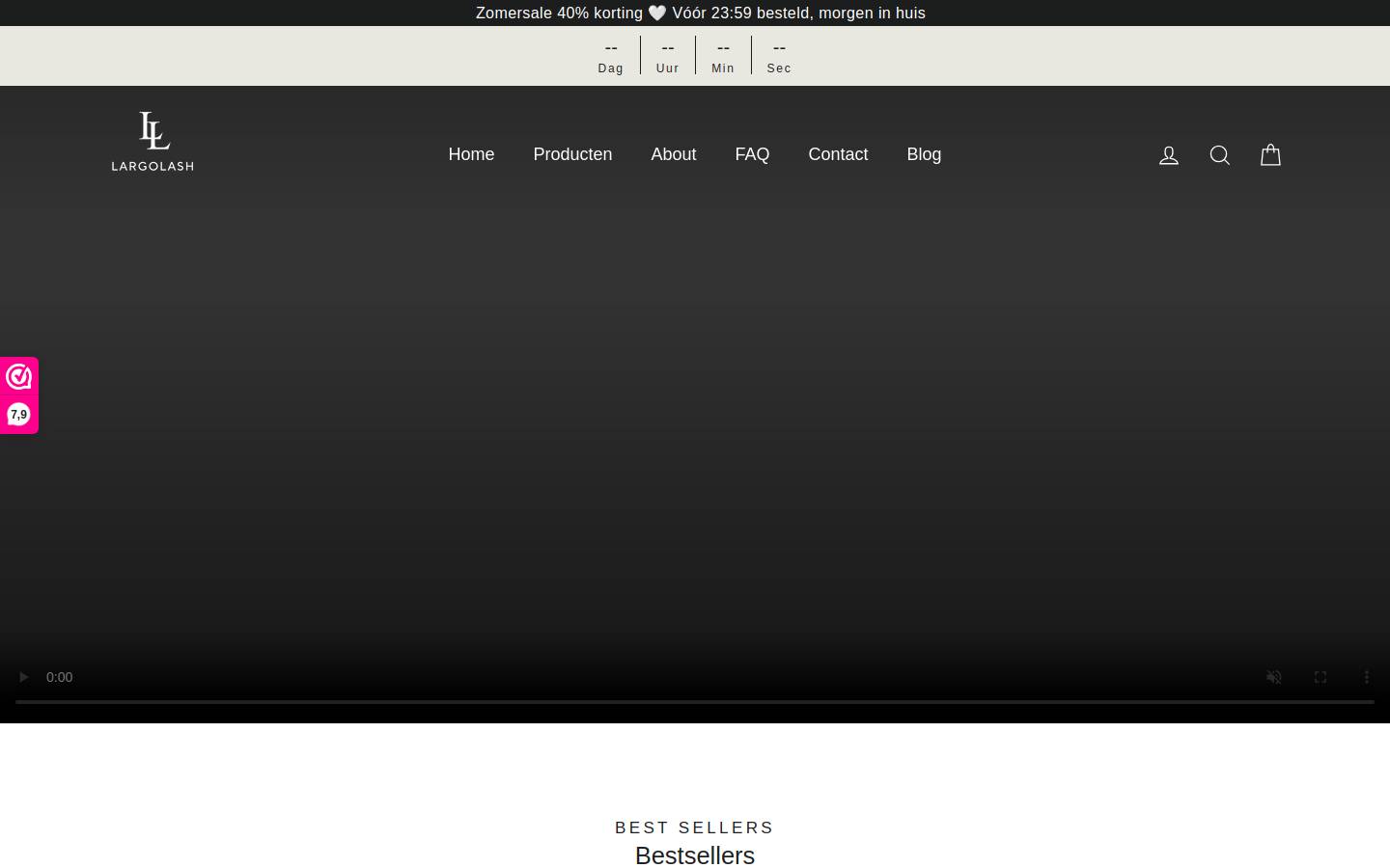 Largolash homepage screenshot