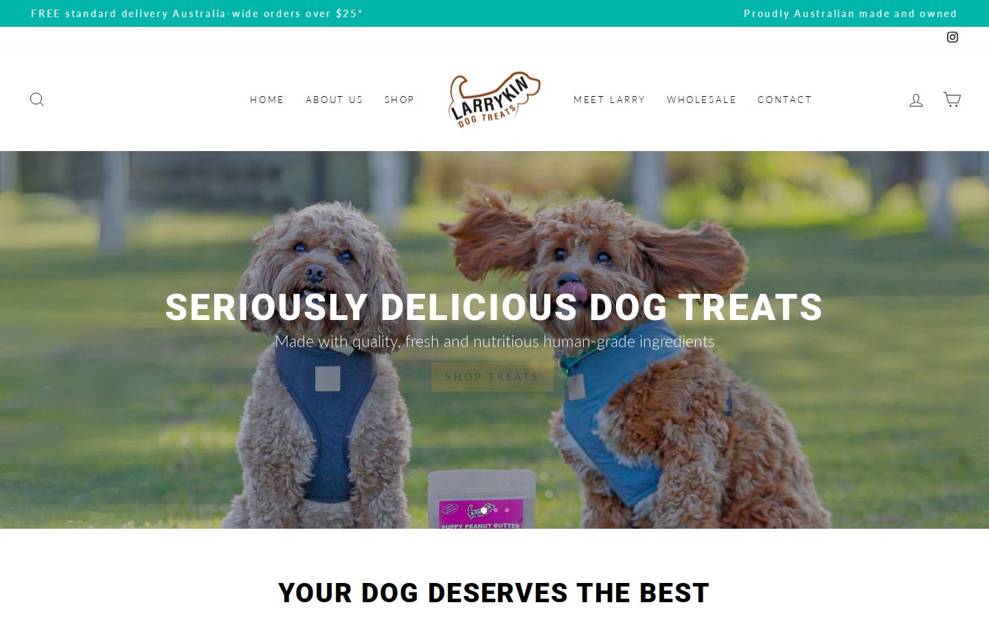larrykintreats.com.au homepage screenshot