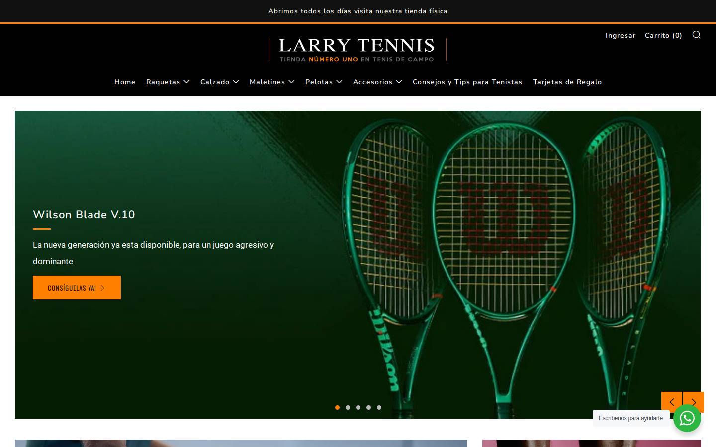 larrytennis.com homepage screenshot