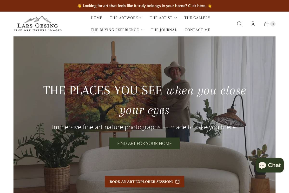 larsgesingfineart.com homepage screenshot