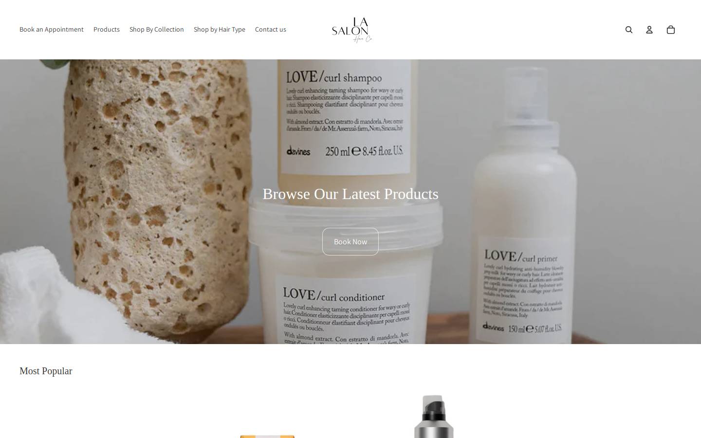 lasalon.ca homepage screenshot