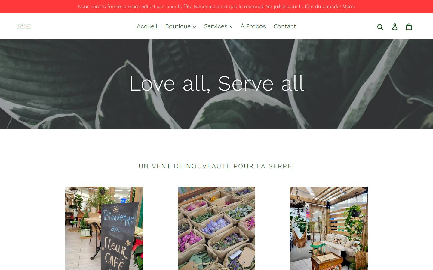 laserrefleurs.com homepage screenshot