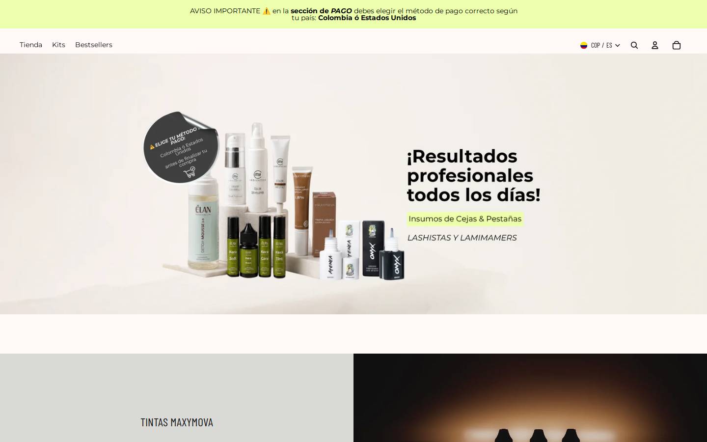 lashinternacional.com homepage screenshot