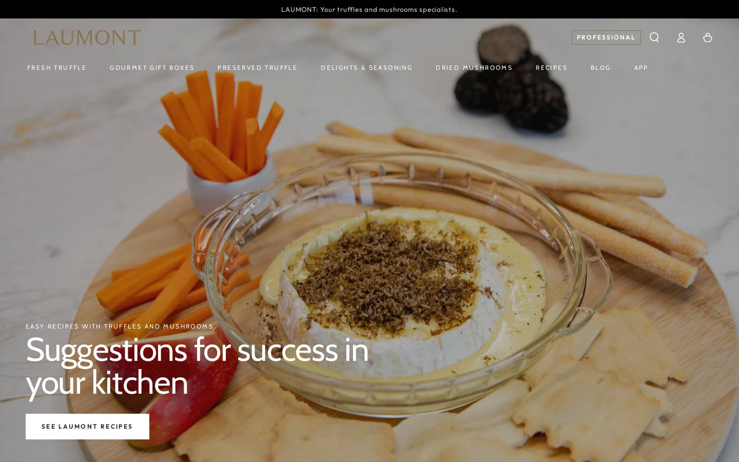 laumontshop.nl homepage screenshot
