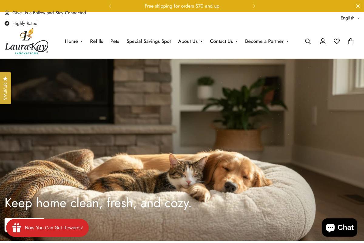 laurakayinnovations.com homepage screenshot