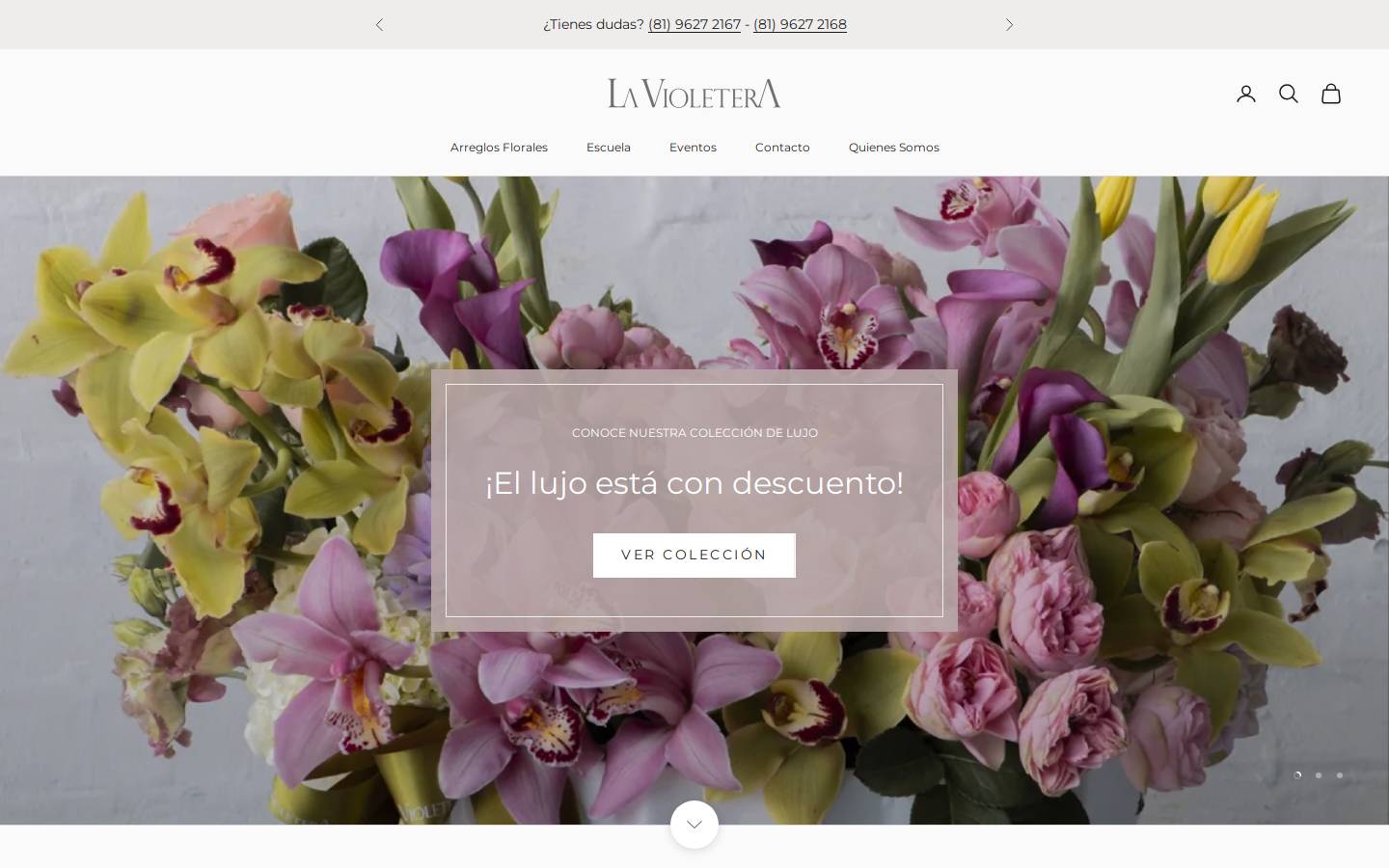 lavioletera.com.mx homepage screenshot