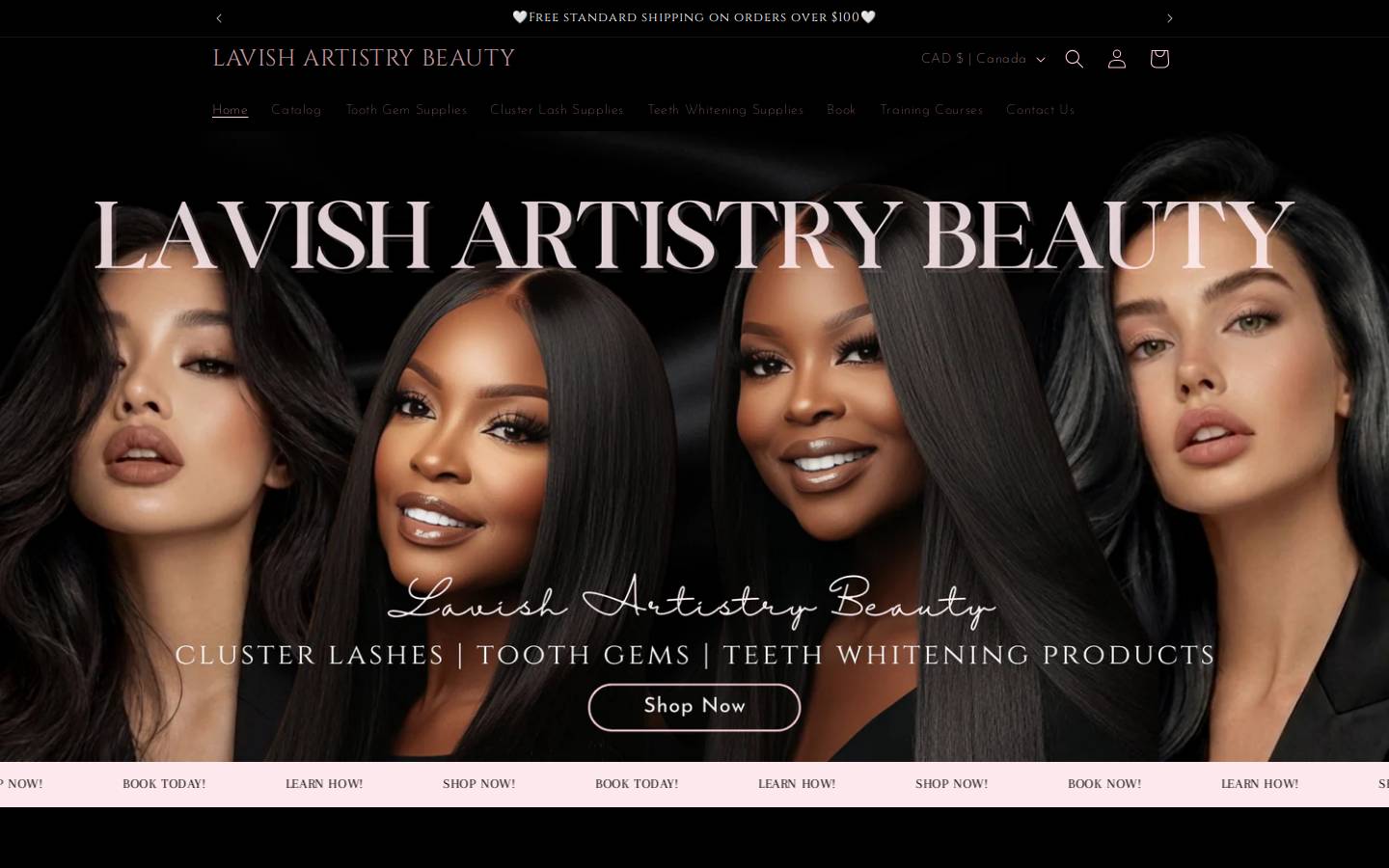 lavishartistry.ca homepage screenshot