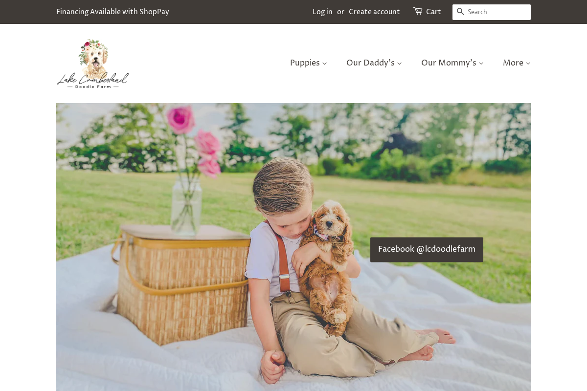 Lake Cumberland Doodle Farm homepage screenshot