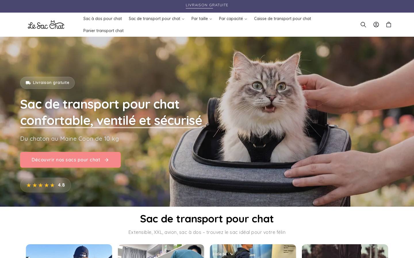 le-sac-chat.com homepage screenshot