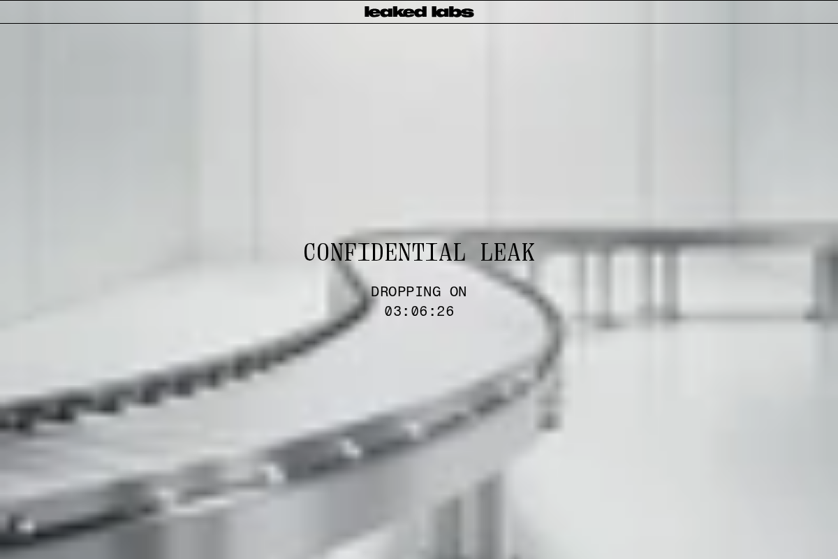 leakedlabs.com homepage screenshot