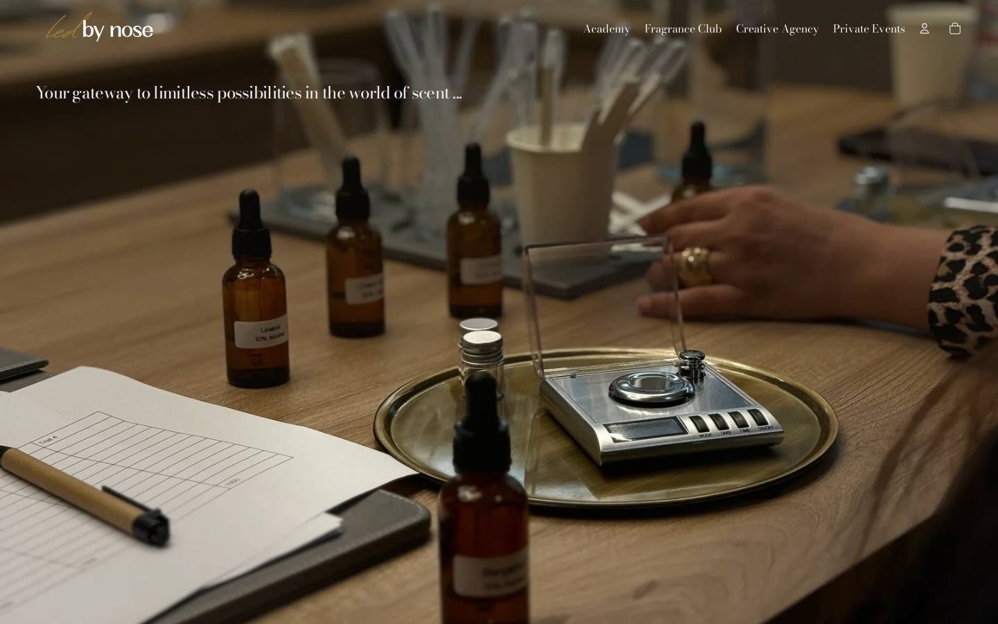 ledbynose.com homepage screenshot