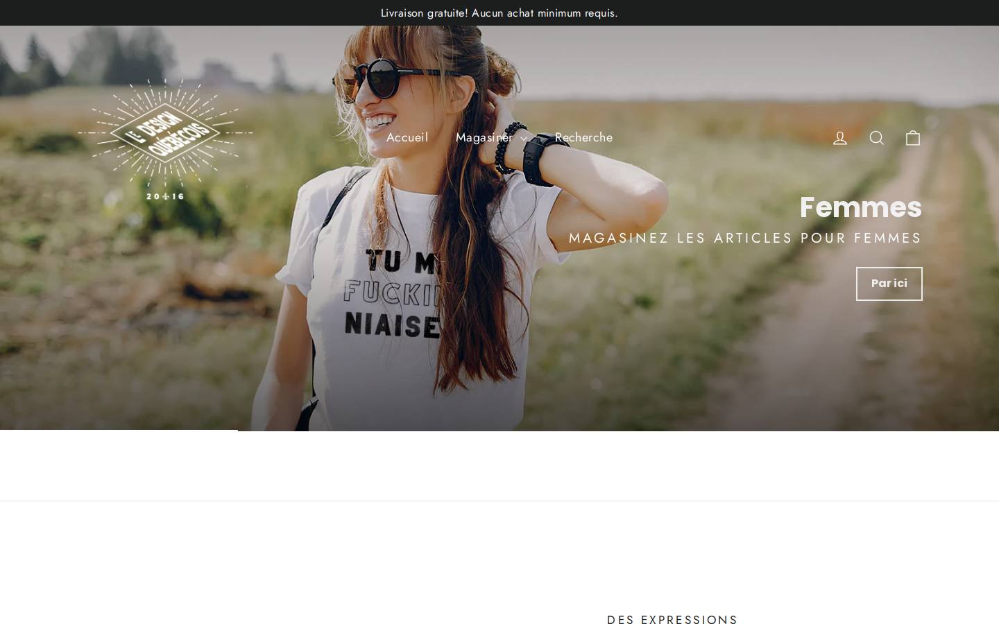 ledesignquebecois.com homepage screenshot