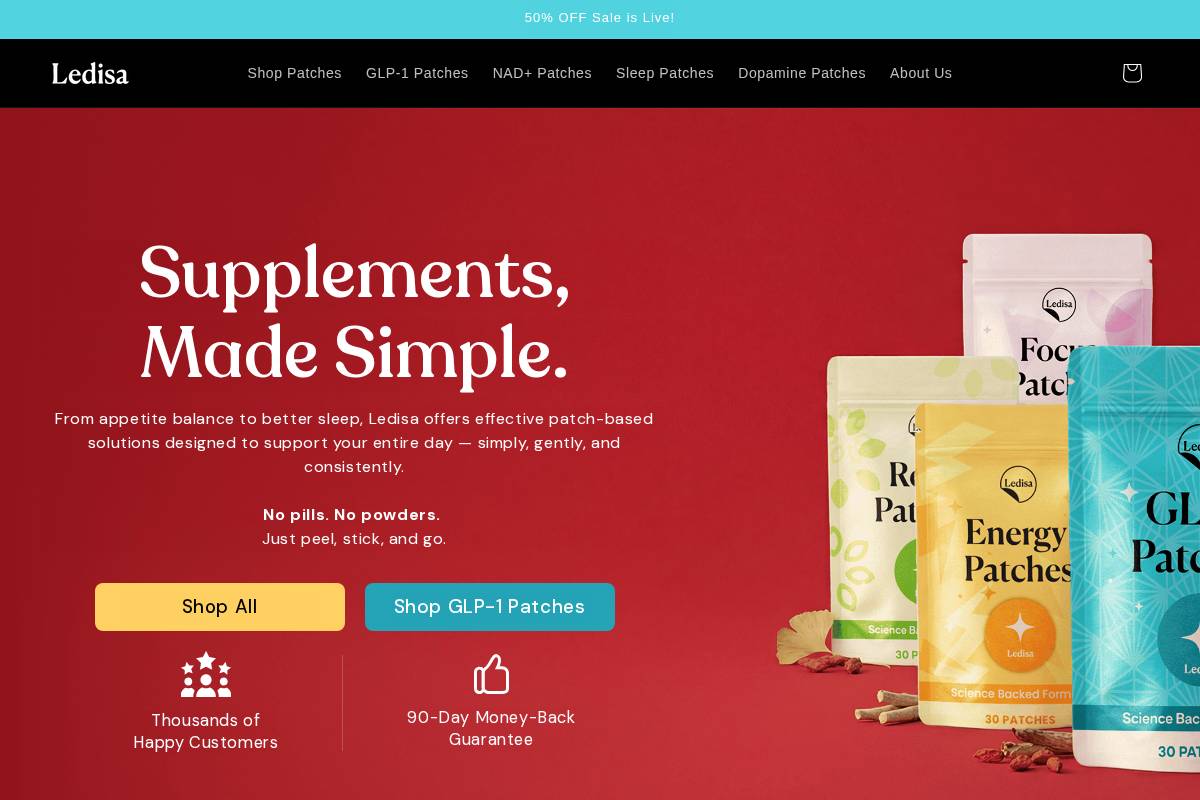 Ledisa homepage screenshot