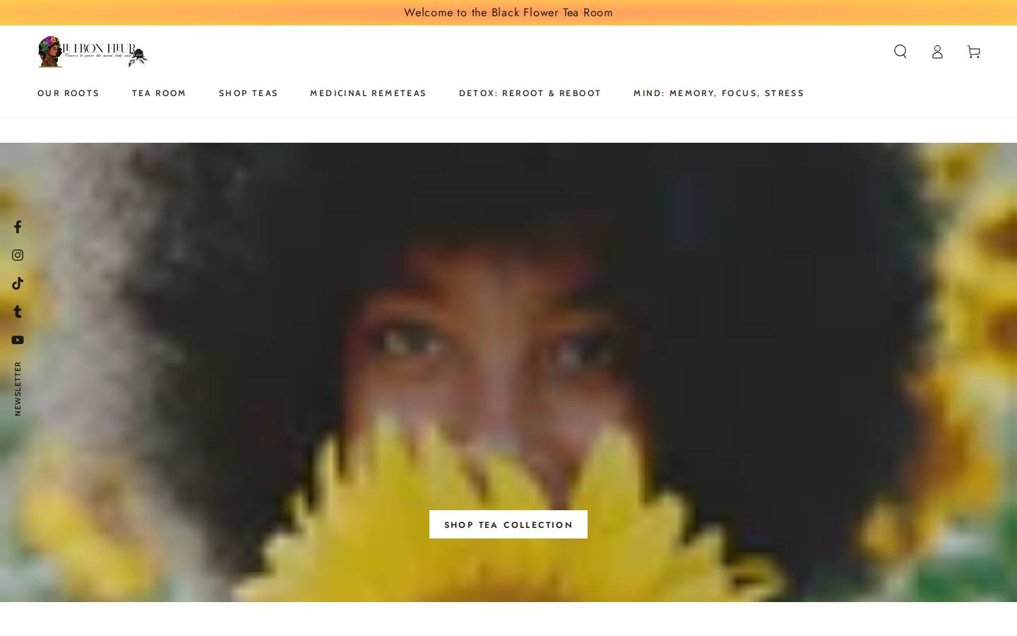 leebonfleur.com homepage screenshot
