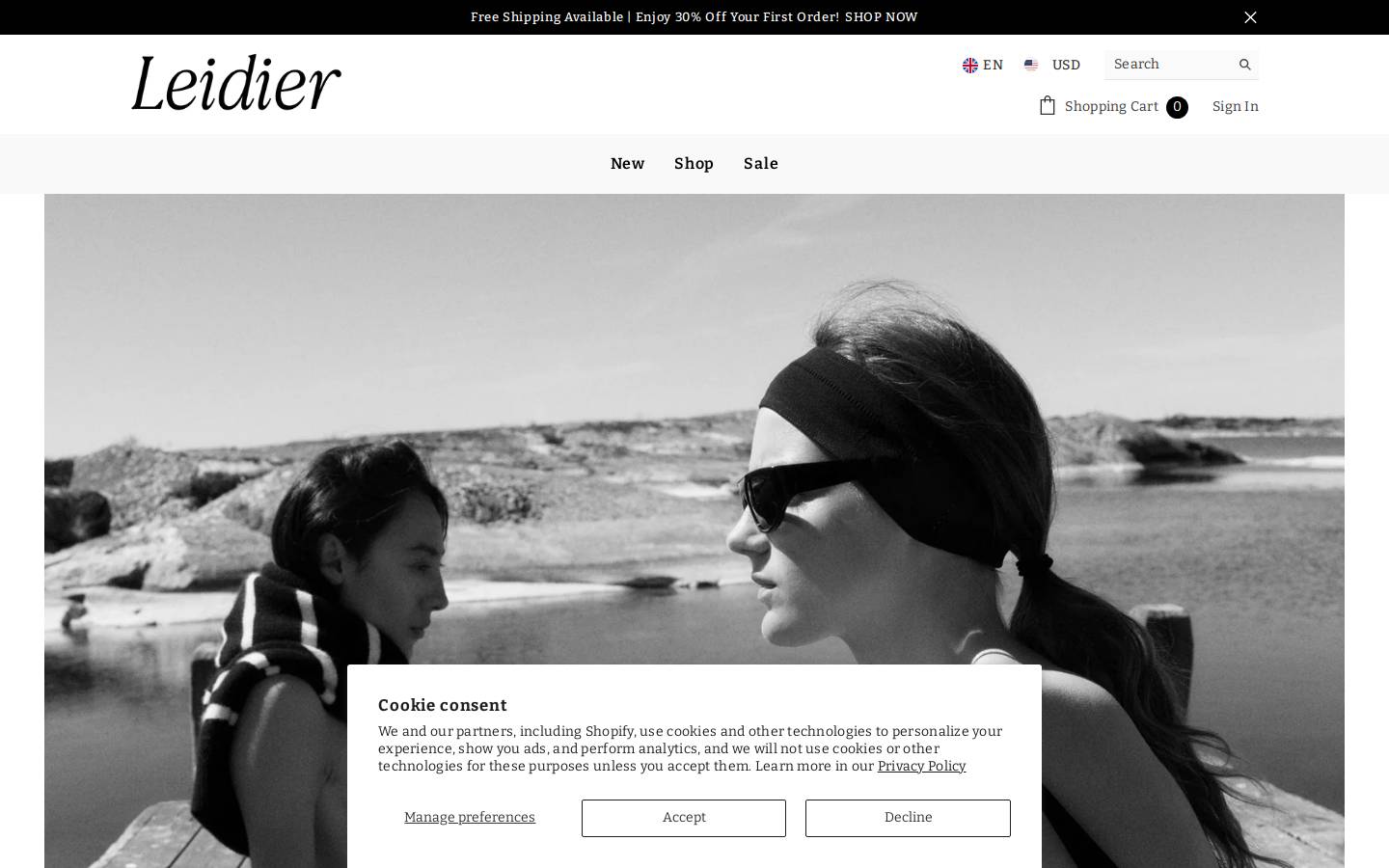 leidier.com homepage screenshot