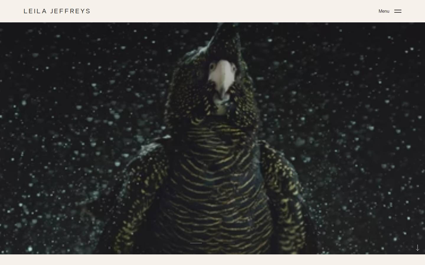leilajeffreys.com homepage screenshot
