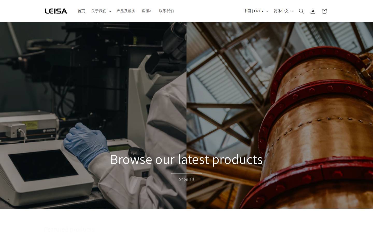 leisa.cn homepage screenshot