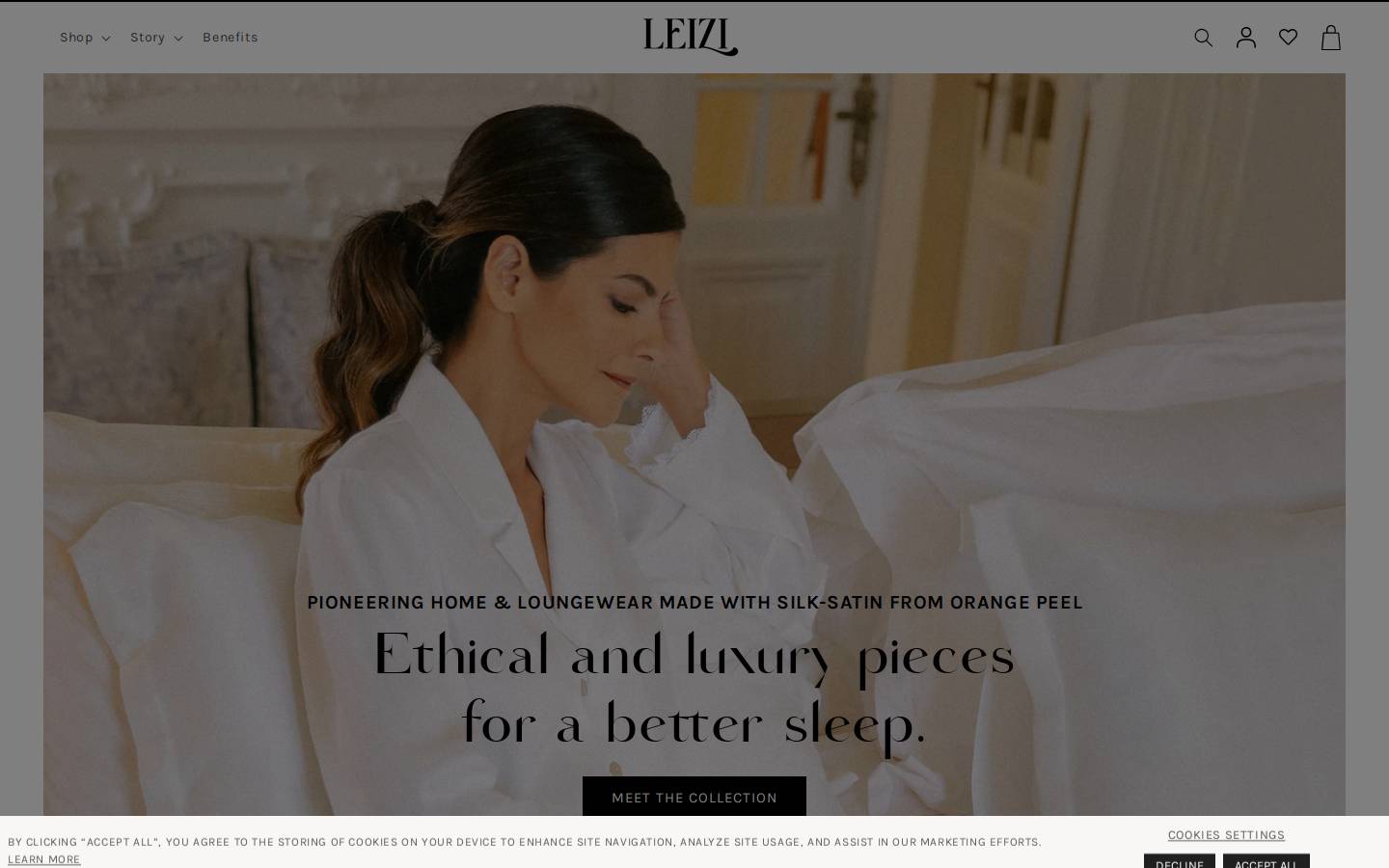leizicollection.com homepage screenshot