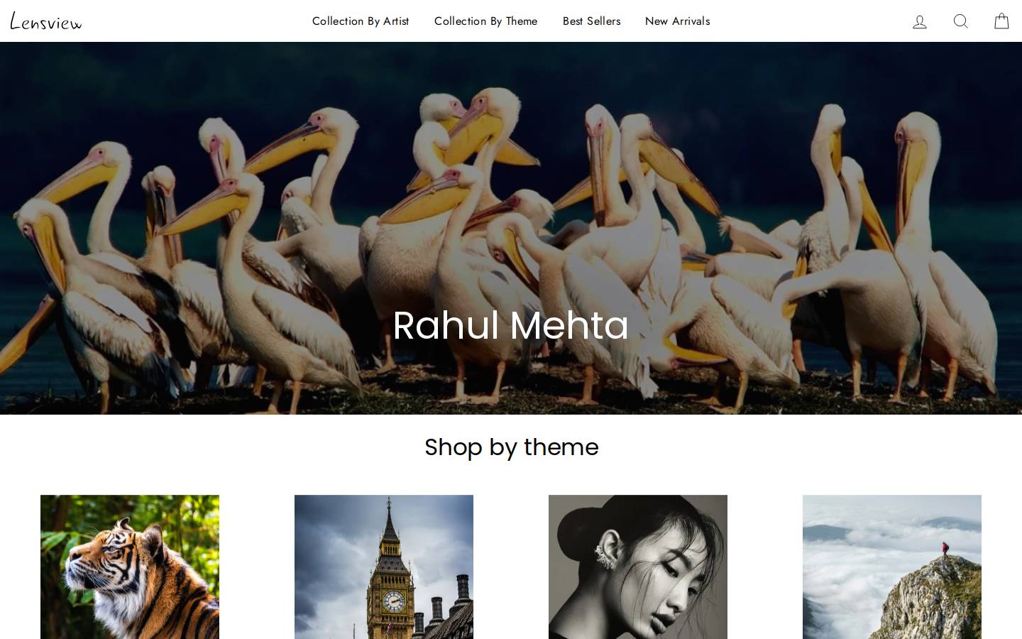 lensview.co.in homepage screenshot