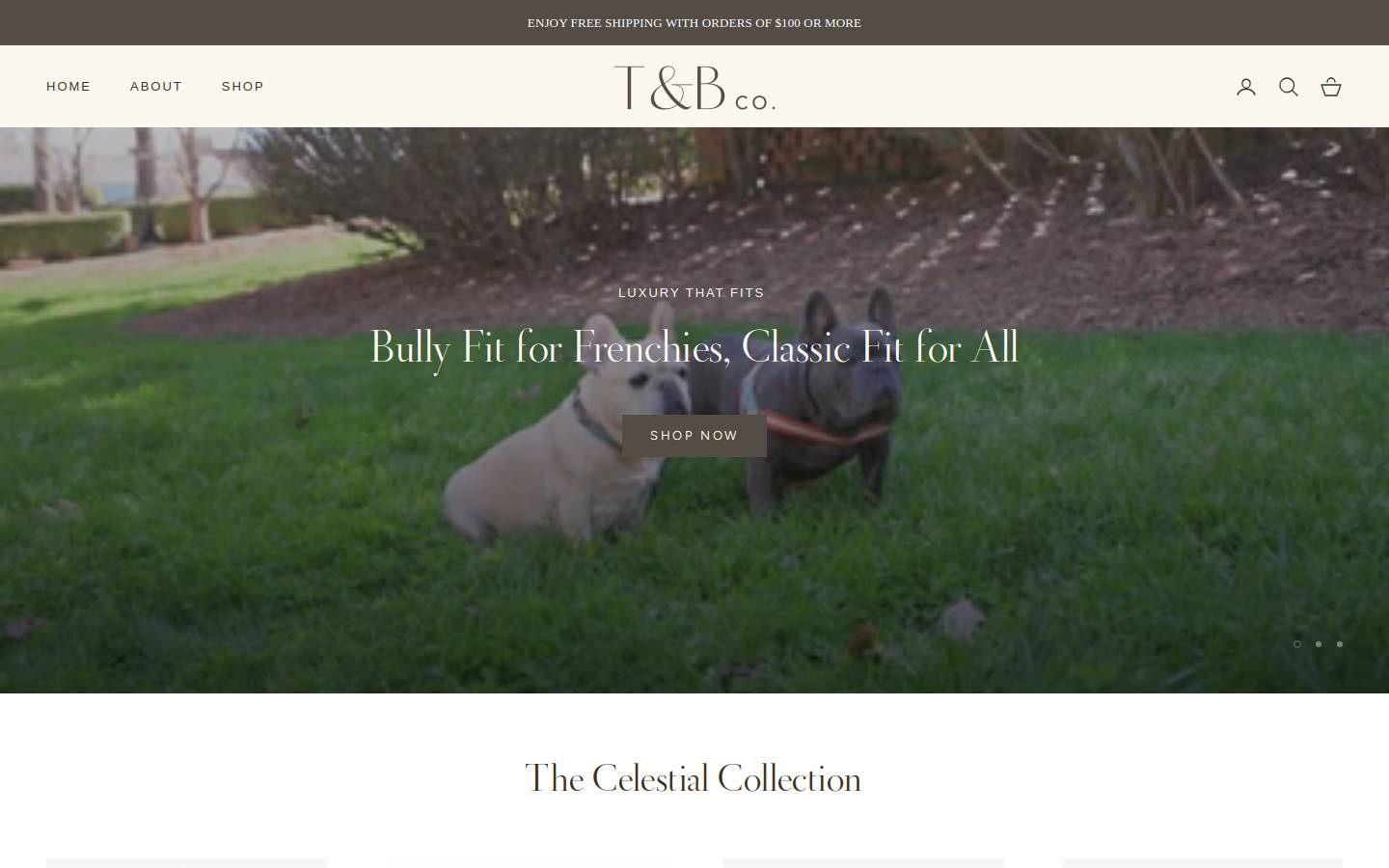 leonardoandkate.com homepage screenshot