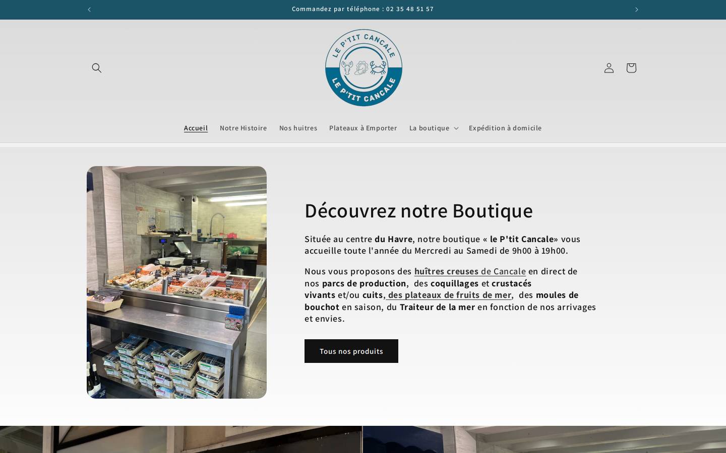 leptitcancale.com homepage screenshot