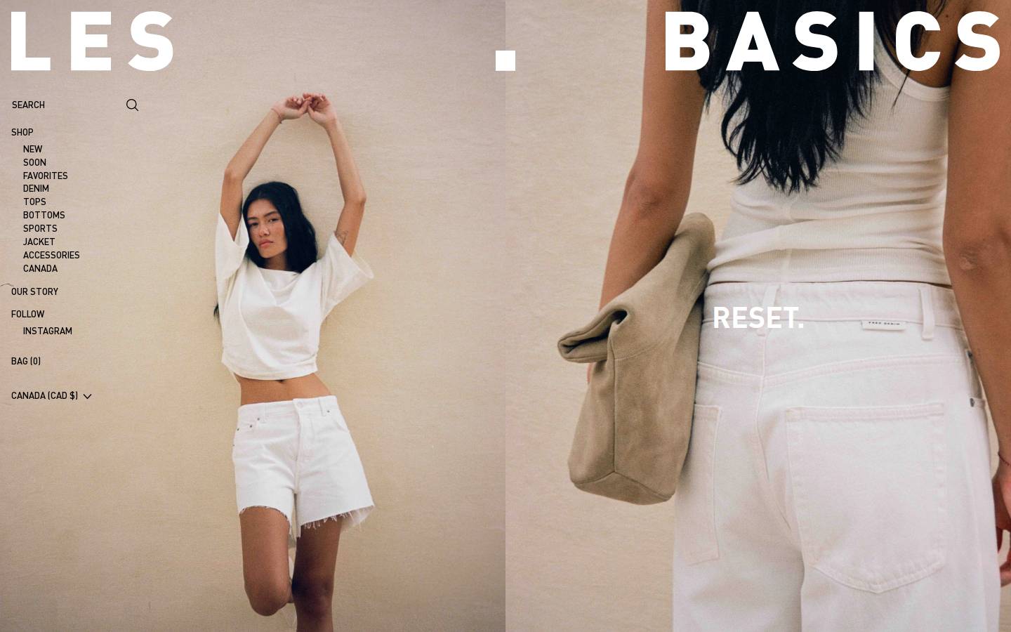 Lesbasics homepage screenshot